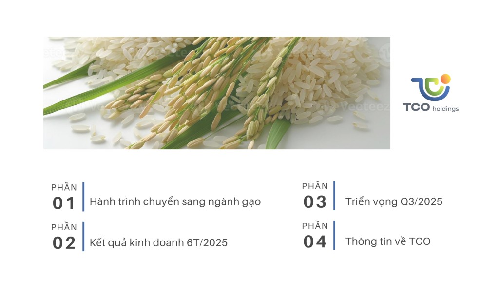 Gạo 